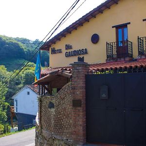 Hotel Doña Gaudiosa